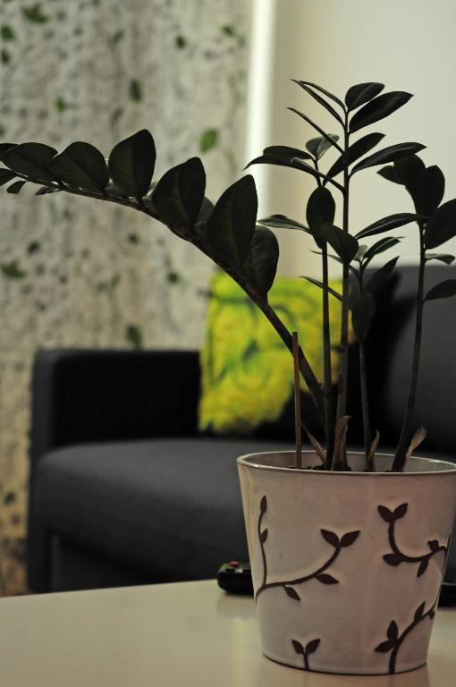 Aliisa'S Apartment Рованиеми Номер фото